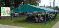 b_120_0_16777215_0_0_img_aktualnosci_piknik_park_podworski_06102024_piknik_park_dworski_pazdziernik_2024-28.jpg
